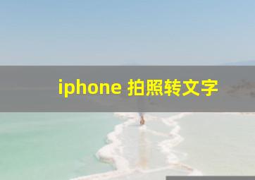 iphone 拍照转文字